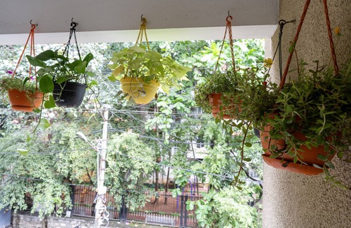 Bengaluru Apartment | Charming Two Bedroom Apartment with balconies in Downtown Bangalore