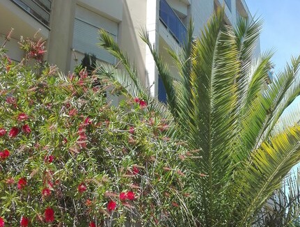 Arcachon Apartment | Charming two rooms near the beach and the center
