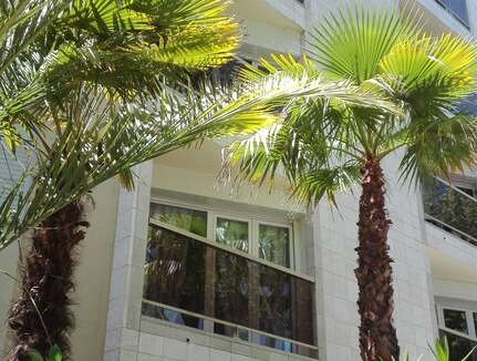 Arcachon Apartment | Charming two rooms near the beach and the center