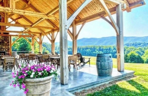 Fairfield Cabin | Charming Vineyard Cabin-Wine, Vines, & Views near-WLU, VMI, & The Horse Center