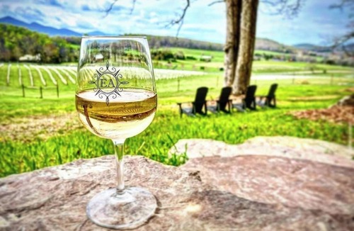 Fairfield Cabin | Charming Vineyard Cabin-Wine, Vines, & Views near-WLU, VMI, & The Horse Center