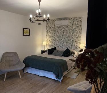 Lens-Lestang Bed & Breakfast | Chateau de la Saone
