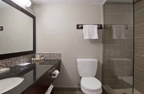 Downtown Edmonton Hotel | Chateau Lacombe Hotel