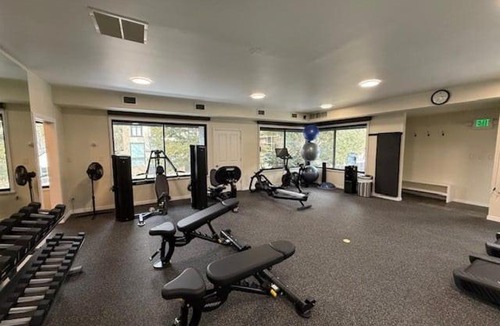 Aspen House | Chateau Roaring Fork Unit 25, Contemporary Condo with River Views, Close to Town