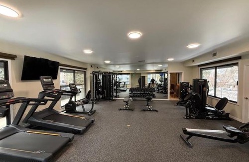 Aspen House | Chateau Roaring Fork Unit 25, Contemporary Condo with River Views, Close to Town