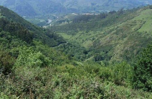 Bohiles Cottage | Cheap rural accommodation in small village ideal families