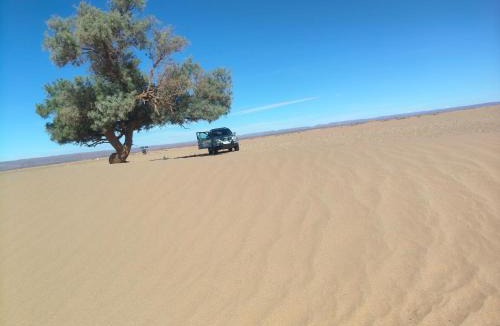 M'Hamid El Ghizlane Other | Chegaga Starlight Camp - Mhamid Desert Haven