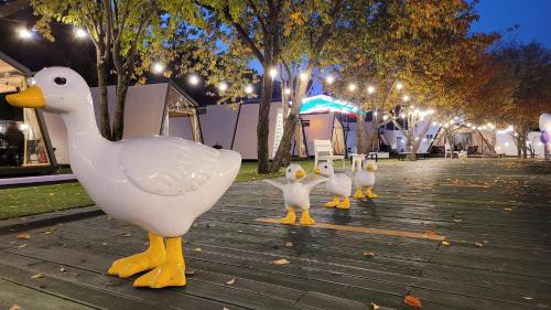Cheongdo Other | Cheongdo Provence Glamping