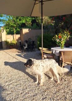 Paluds de Noves House | Cherche Midi
