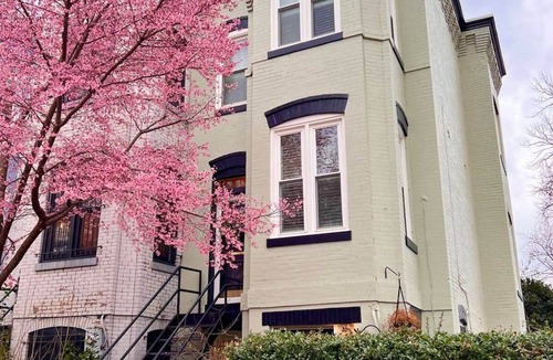 Stanton Park House | Cherry Blossom | Capitol Hill | Patio + Walkable