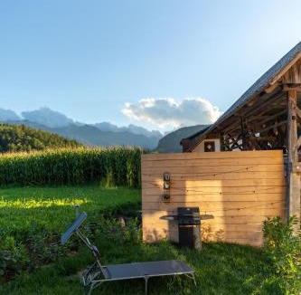 Bohinjska Cesnjica Apartment | Cherryhood Chalet