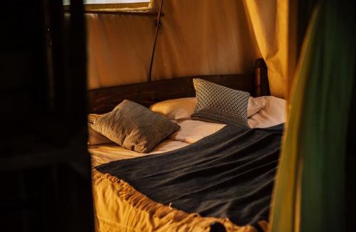Jedburgh Other | Chesters by Feather Down