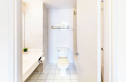 Bay Street Corridor Hotel | Chestnut Residence - Campus Accommodation