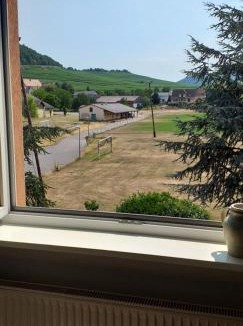 Westhalten Apartment | CHEZ LE VIGNERON