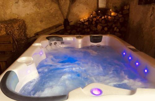 Saint-Martin-d'Ablois Apartment | Chez Lilly & Cie 10 à 12 personnes avec sauna et piscine