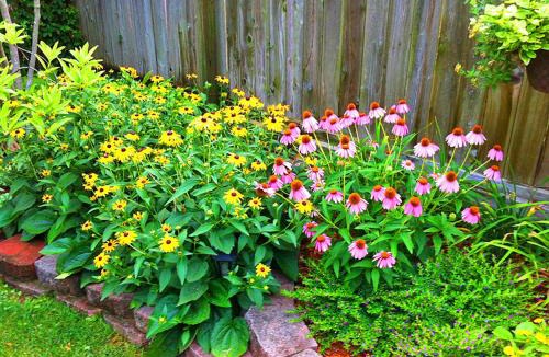 Northside District Bed & Breakfast | Chez Lyndon Manor