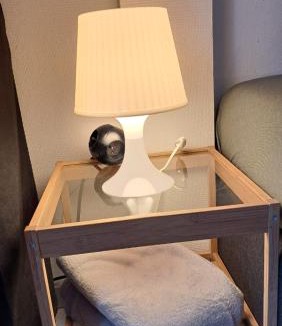 Malmedy House | Chez Martine