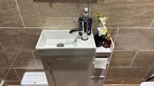 Tredegar Apartment | Chic Above Store