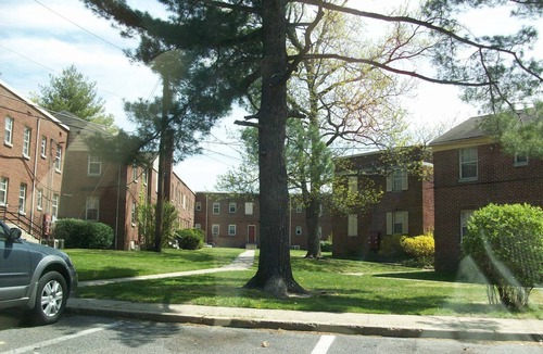 Cherry Hill Condo | Chic and cozy 1-bedroom condo with great view in welcoming Cherry Hill