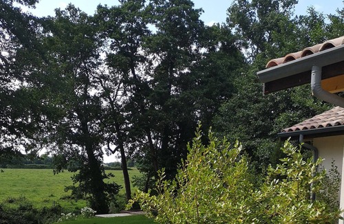 Saint-Sulpice-et-Cameyrac Cottage | Chic and romantic cabin between Bordeaux and Saint Emilion "MUSCADELLE"