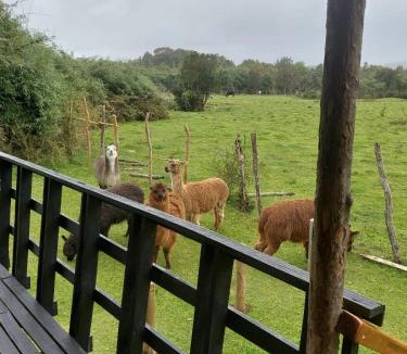 Chiloe Island House | Chiloe Profundo