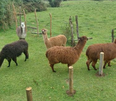 Chiloe Island House | Chiloe Profundo