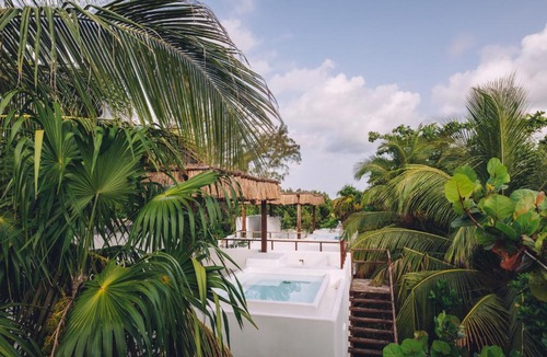 Zona Hotelera Hotel | Chiringuito Tulum