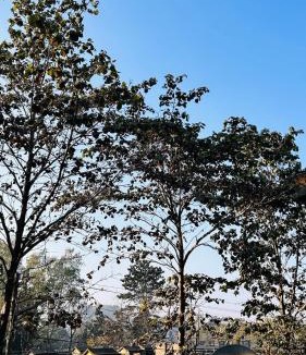 Ranchi Apartment | Chitraashray