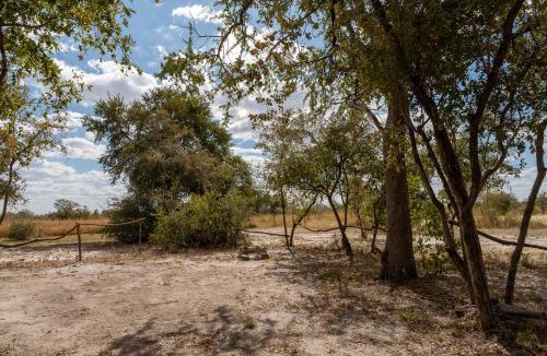 Kachikau Other | Chobe Hideaway