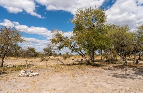 Kachikau Other | Chobe Hideaway