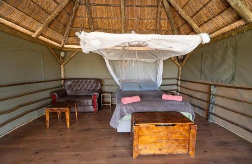 Kachikau Other | Chobe Hideaway