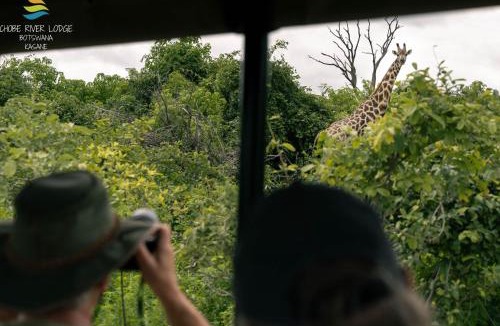 Kasane Hotel | Chobe River Lodge