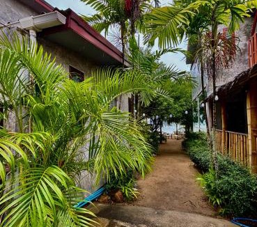 Ko Pha-ngan Hotel | Chook Dee Resort phangan palm beach