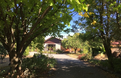 Greytown House | Chris's Cabin | Private Garden, Large Deck | Sleeps 8 in Greytown