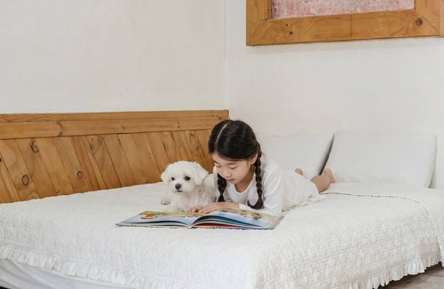 Namsan House | Chuncheon Remember Pet Pension