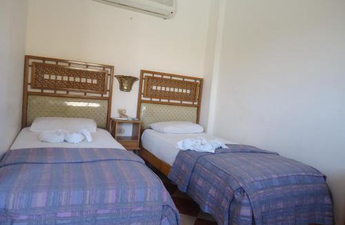 Wasit Resort | Ciao Hotel
