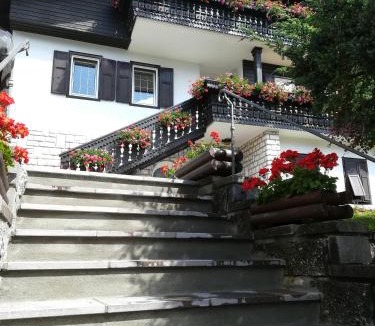 Moena Apartment | Ciasa Celeste