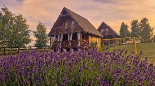 Miłomłyn Cabin | Cichosza Miłomłyn