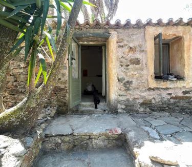 Kithira House | Circadia