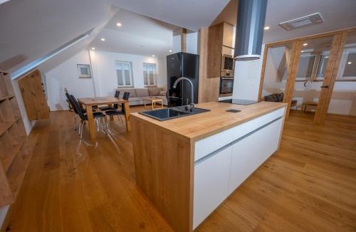 Kocevje Apartment | Cirus apartments