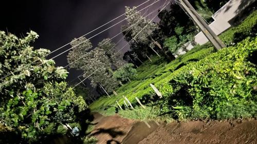 Kalpetta House | CITADEL HOLIDAY HOME