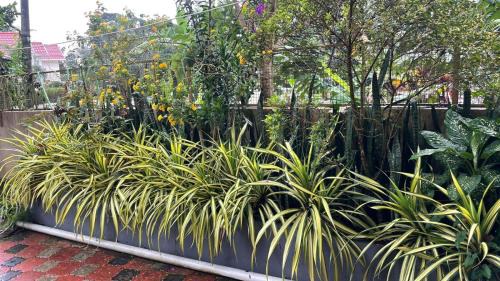 Kalpetta House | CITADEL HOLIDAY HOME