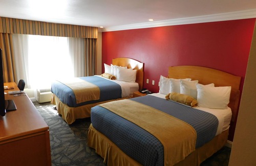 Placentia Hotel | City Express by Marriott Placentia Anaheim