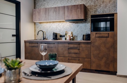 Wolframs-Eschenbach Apartment | City Side Junior Suite with view of the old town