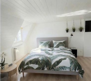 Balliz Apartment | City View