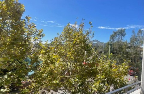 Crows Nest Apartment | CLA26 - 1 bedroom Unit Crows Nest Clarke Street