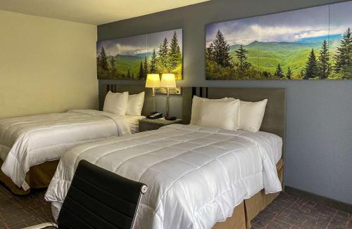 Greensboro Hotel | Clarion Pointe - Greensboro Coliseum Area