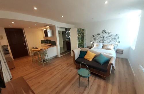 Centre Ville Apartment | Classé 3 Etoiles IDEAL VIENNE Centre ville 20 min de LYON