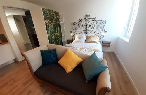 Centre Ville Apartment | Classé 3 Etoiles IDEAL VIENNE Centre ville 20 min de LYON