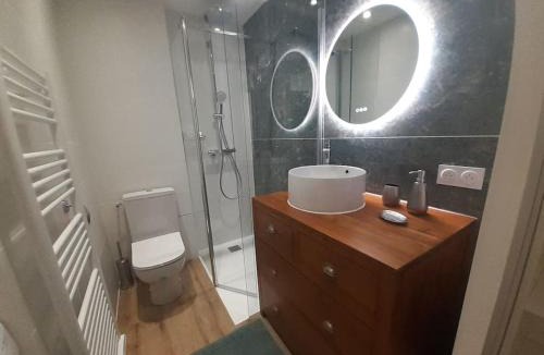 Centre Ville Apartment | Classé 3 Etoiles IDEAL VIENNE Centre ville 20 min de LYON
